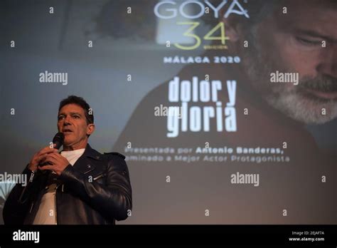 The Goya Awards Ceremony: A Night of Cinematic Brilliance and Unexpected Controversy